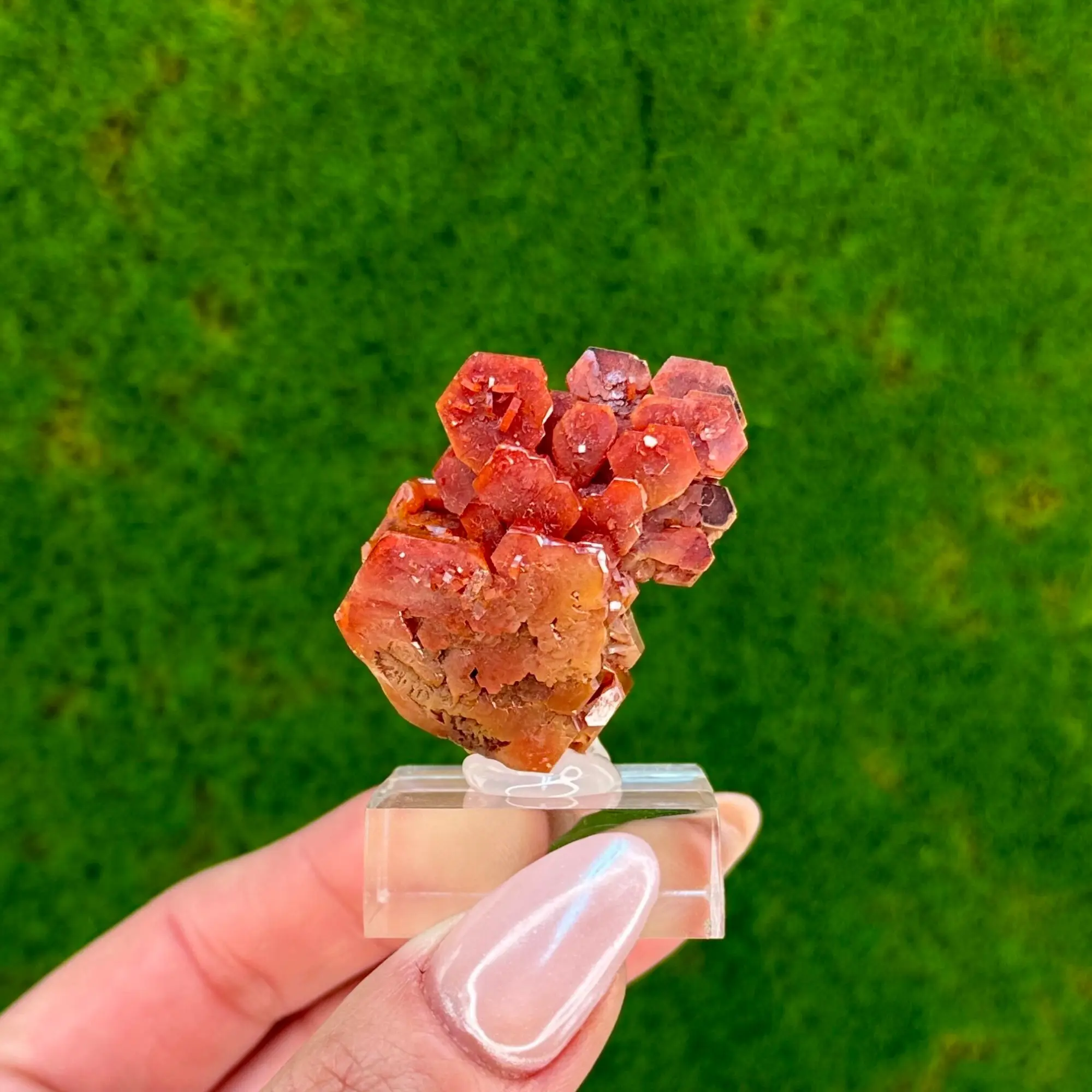 Red Vanadanite Cluster from Marocco | Large Crystal | Vivid Red