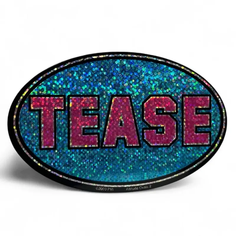 Early 2000s Stickers | Vintage Stickers | New | Mcbling | Bumper Stickers | Holographic