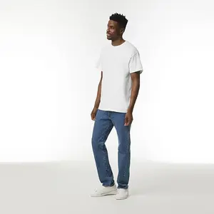 Gildan Men's Heavy Cotton T-Shirt, Style G5000
