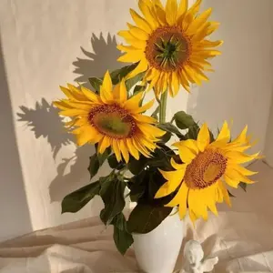 50 Premium Sunflower Seeds for Planting – Bright Yellow Blooms, Beginner-Friendly, Ideal for Backyard Gardens, Outdoor Pots, Gifts & DIY Flower Beds