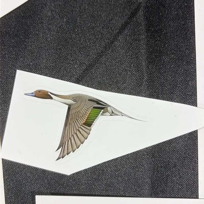 Pin Tail Duck Sticker, Waterproof Vinyl Decal for Laptops, Water Bottles