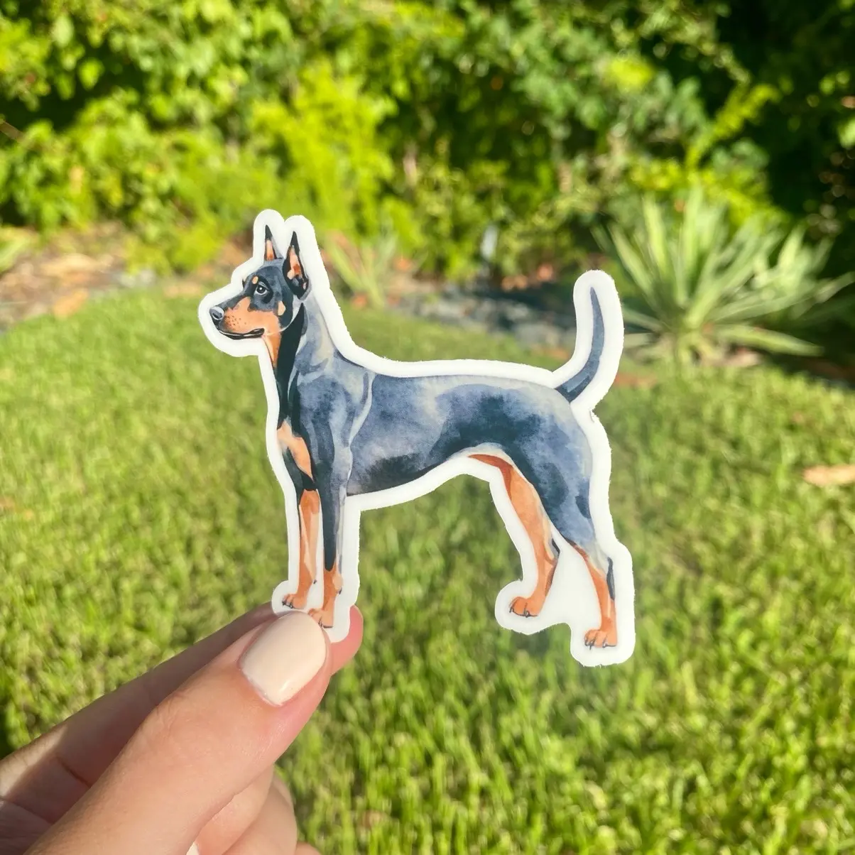 Classic Doberman Vinyl Sticker, 3x3in