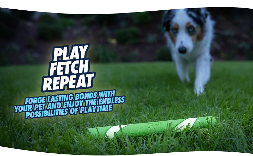 Chuckit!Interactive Dog Toy Ultra Fetch Stick - 12 Inch Outdoor Dog Toy for All Breed Sizes