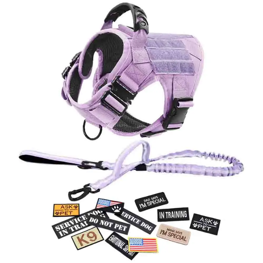 Purple Harness, leash & 12 Patches