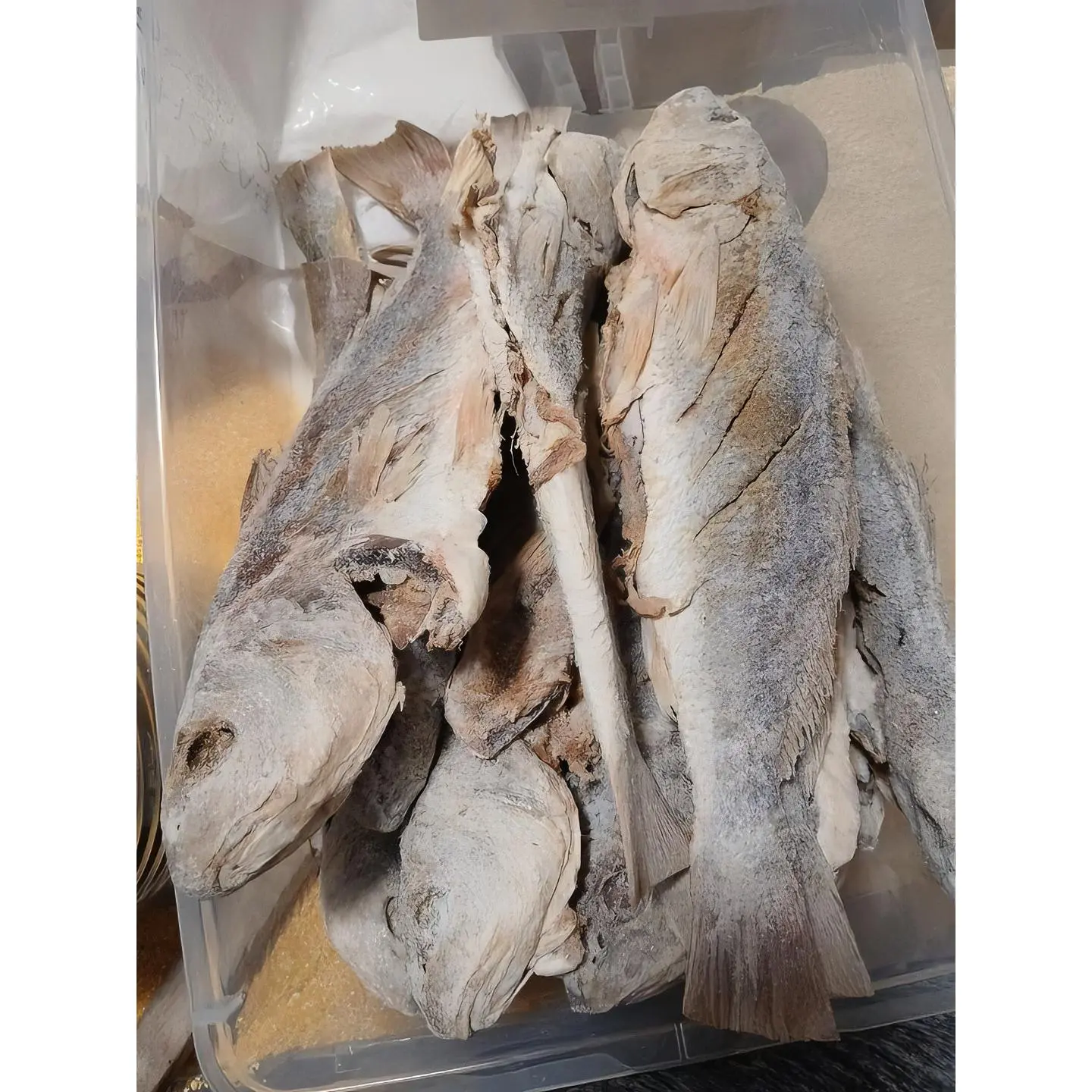 Certified Organic Pure Fish Dried Snacks - 3-Pack for Cooking, Snacking, Dry Storage Ready