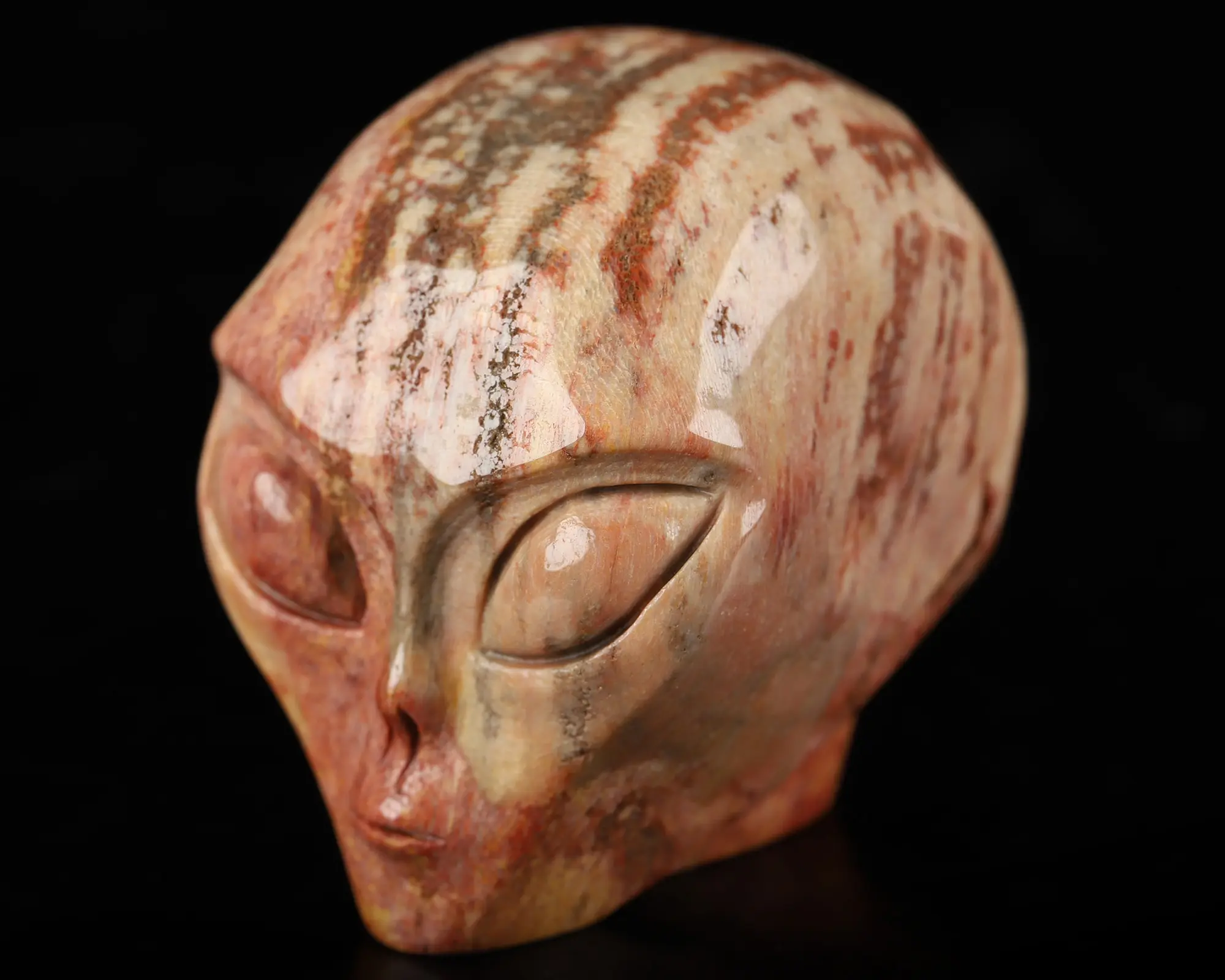 2.0" Petrified Wood Star Being Female Alien Crystal Skull Companion, Hand Carved Gemstone Fine Art Sculpture, Reiki Healing Stone Statue