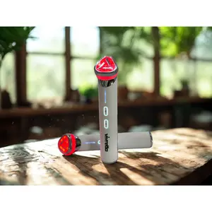 NEW! LumiPore™ Age-R Booster a Facial Treatment Device for Maximizing and Boosting Skin Care Absorption | SALE!