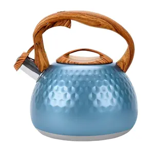 Uscover Blue Stainless Steel Teakettle,3.2 Qt Tea Pots for Stove Top with Ergonomic Handle, Gas Electric Applicable