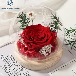 ETERNAL BLOOM CERENOMY Hand-Preserved Real Rose - Long-Lasting Real Flower with Small Round Glass Dome, Handcrafted Gift for Birthday, Mother's Day Home & Festive Decoration, Nature, Decorative