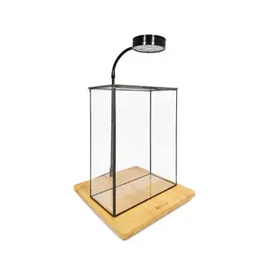 Geometric Glass Vessel Container for Succulent Moss Plant Terrarium, 11 inch High