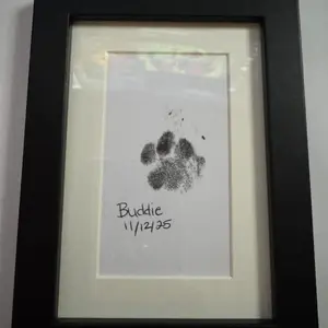review image 3