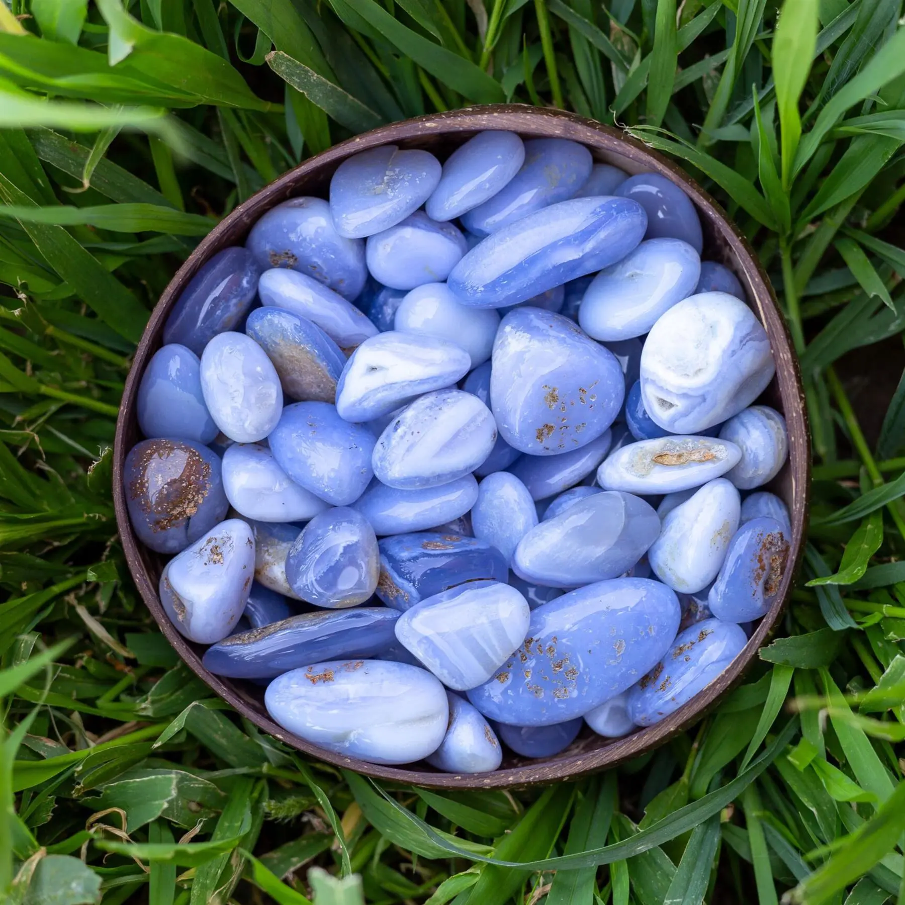 Down to Earth Blue Lace Agate Tumbled