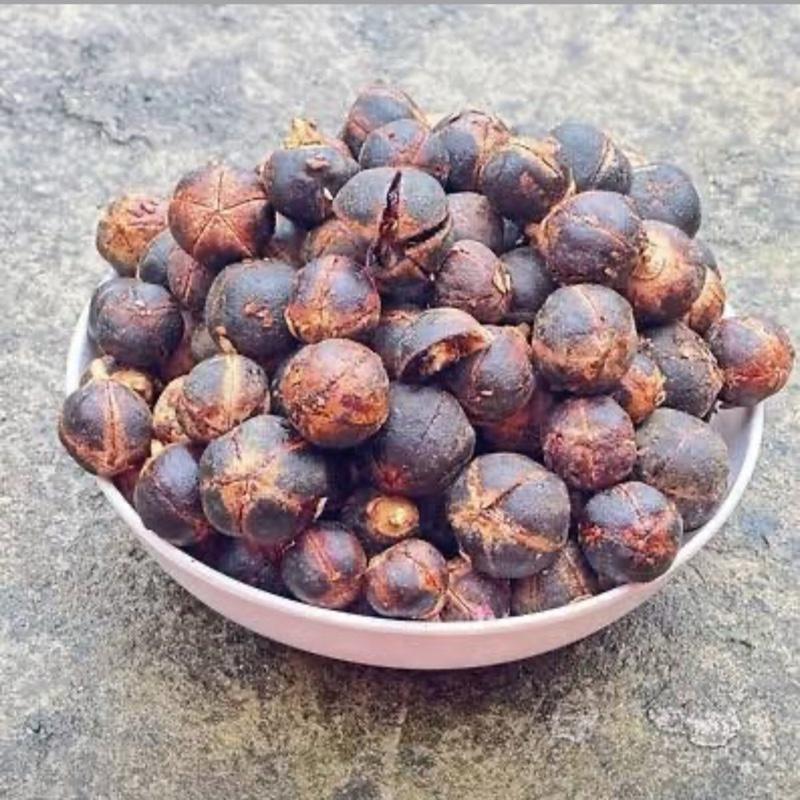 Gorantula seed (douse nan mitan) 10 pieces