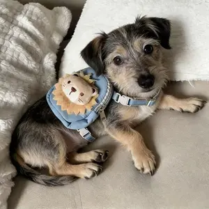 Pet Carrier Bag with Leash, Adjustable Chest Harness, Snack Storage, Portable Pet Backpack for Small Medium Animals, Cute and Fun Design