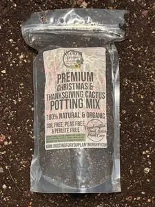 Christmas & Thanksgiving Cactus Premium Potting Mix