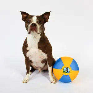 Bosty Ball MINI – 8” Chase Herding Ball for Small Dogs