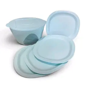 Vision Bowl with 4 Plates