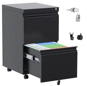 2-Drawer File Cabinet On Wheels, Under Desk Metal Rolling Filing Cabinets with Lock, Small Rolling File Storage for Home Office Organizer Letters/Legal/A4, Easy Assembly, Black