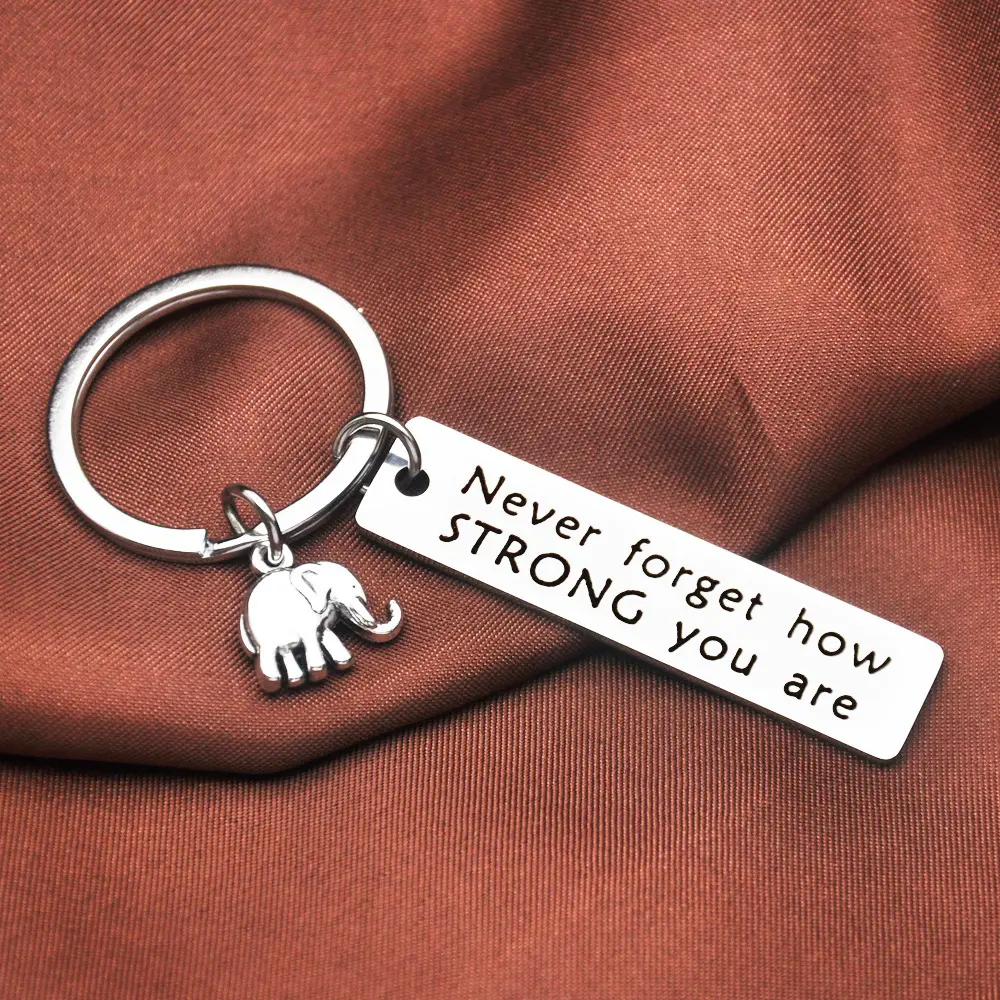 Elephant Inspirational Keychain For Women, Stainless Steel Engraved Tag "Never Forget How Strong You Are", Silver Mini Elephant Charm Key Ring, Positive Encouragement Gift For Friends Family Sister Birthday Recovery