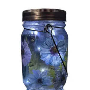 Mason Jar Solar Fairy Light Lantern Flowers Line Inside Jar Pint Size Blues