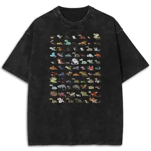 Httyd Train Your Dragon All Dragons Movie Washed Shirt, Night Fury And Light Fury Funny Cartoon Shirt, Casual Dragons Shirt Menswear Streetwear graphic