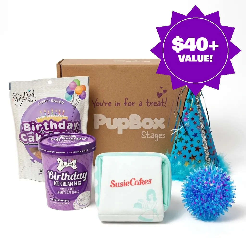 Birthday PupBox | Dog Birthday Bundle | Boy & Girl Themed | XS-L