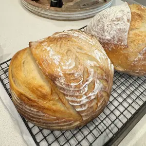 BUCKY - LIVE Active Sourdough Starter 35 Grams for Baking Authentic Healthy Bread - Made in USA - Easy to Use for Beginners & Experienced Bakers Flour