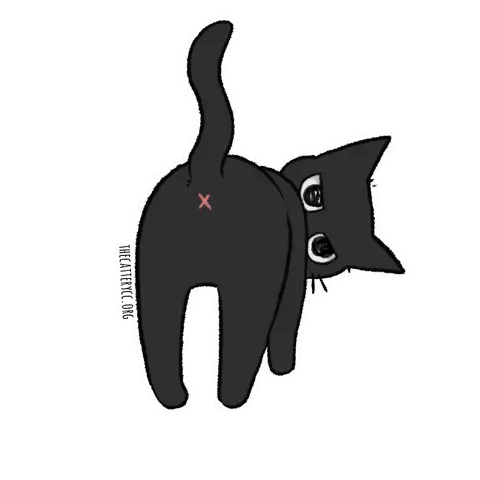 What Are You Looking At Cat Sticker