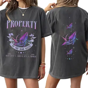 Dramione Property of the High Reeve TShirt/Sweatshirt/Hoodie, Manacled by Senlinyu Dark Romance Fanfiction Merch, Wizard Fandom Apparel, Bookish Dark Academia Outfit, Gift for Readers