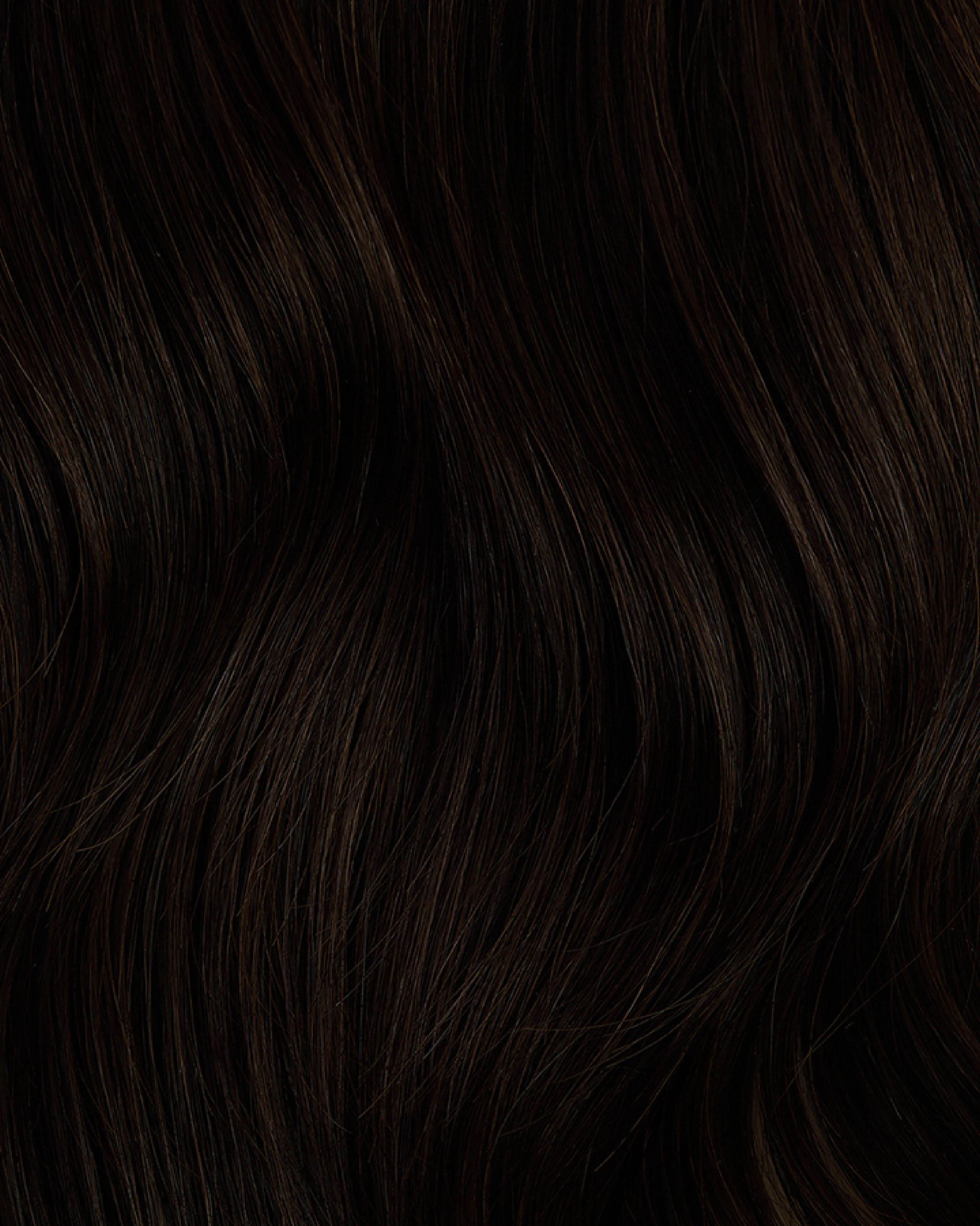 Rich Chocolate Brown #2 Halo