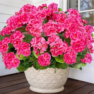 6Pcs Artificial Geranium Plant Realistic Silk Flowers, Geranium Flowers Plants, Faux Flowers Plant Geraniumsfor Home & Garden Decor, for Weddings, Engagements, and Holidays, Kitchen Garden Table Centerpieces Indoor Outdoor Decor(Rose Red)