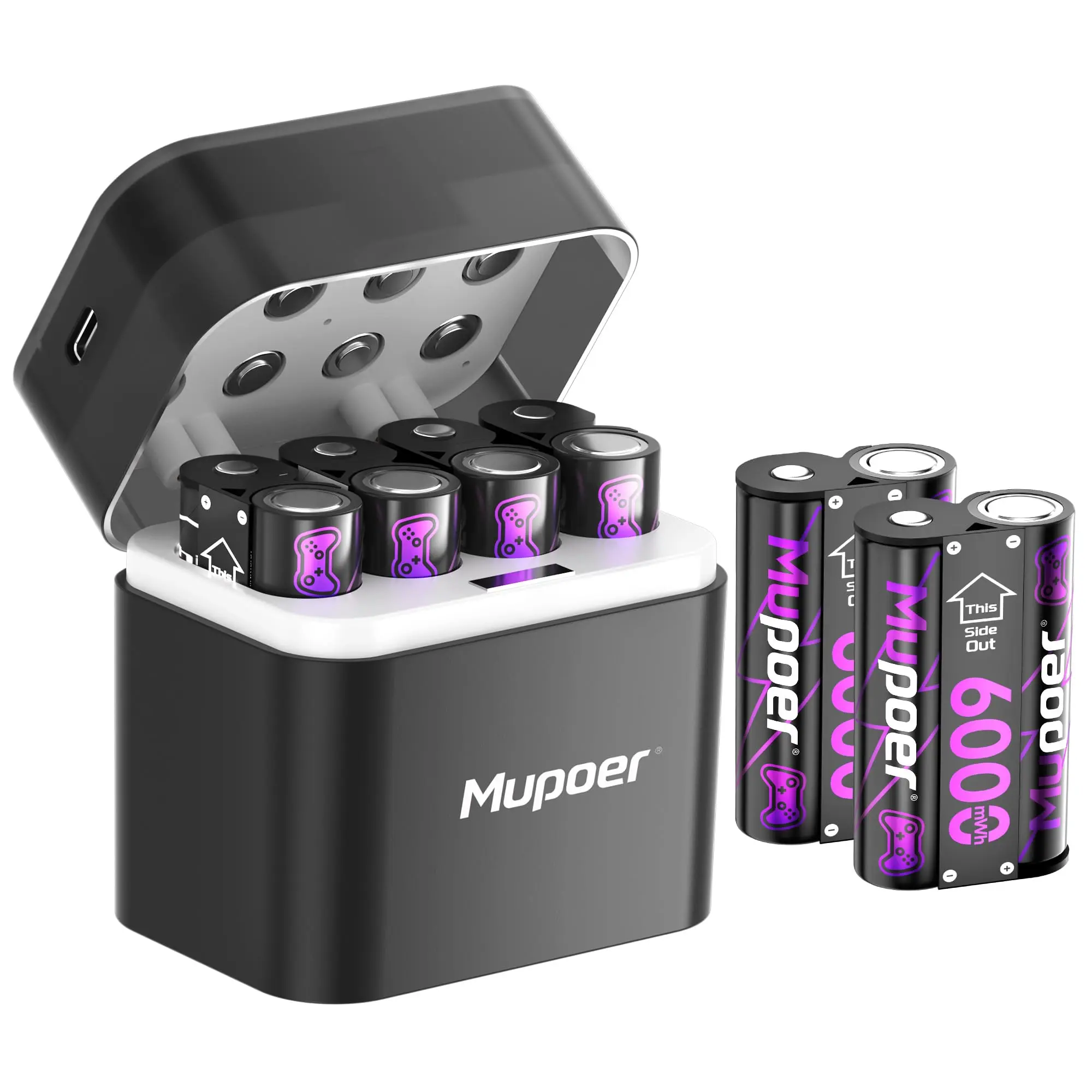 charger+12 AA batteries(6-pack)