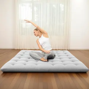 Resistant Japanese Futon Mattress, Twin Size 75"x39", 2.5 Inch Thick Japanese Mattress Tatami Mat, Foldable Bed Sleeping Pad for Dormitory Guest Room Camping