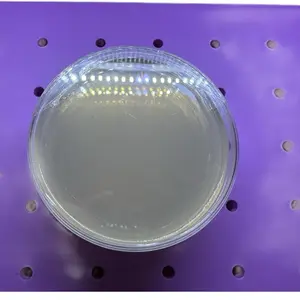 Spore Starter Agar Plate