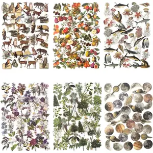 240PCS Waterproof Decorative Nature Stickers Set - Flowers Leaves & Animals for Journaling Planners DIY Crafts Vibrant Floral Animal Botanical Designs DIY