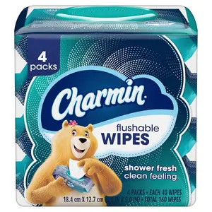 Charmin Flushable Wipes Shower Fresh Clean Feeling 4 Packs 160 Total Wipes 40 Wipes Each Pack for Everyday Use