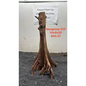 Mangrove Tree Stump 310