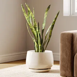 Ceramic Planters, 10 Inch  Pot with Drainage Hos and Saucers, Stylish and Durab Planter,  Pots Indoor,  for Mom, Reactive Glaze Beige