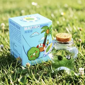 Dreamy Marimo Star Bottle - Live Aquarium Plant Micro-Landscape, A Self-Sustaining DIY Habitat with Twinkling Stars, Elegant Desk Oasis (Includes LIVELY Moss Ball Pet)