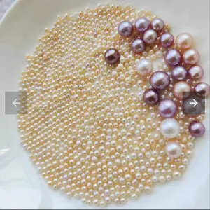 shiny ak 4-7millimeter (1clam include 15 pieces and 90% chance of one edison )