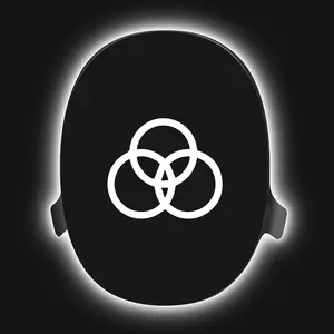 Borromean Rings - The Book of Signs (Rudolf Koch)