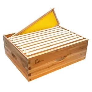 10 Frame Langstoth Medium Super Beehive Box, Honey Super Bee Box Dipped in 100% Beeswax, Wax Coated Bee Hive with Frames and Foundations Sheets for Beekeeping Supplement