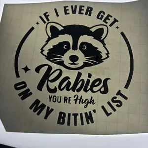 Raccoon Decals - If I Ever Get Rabies You're High Bitin' List - Fun Animal Design for Car Bumper Stickers