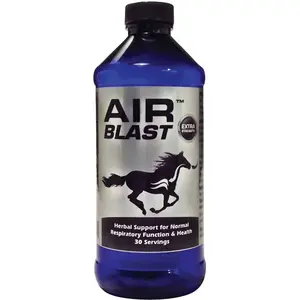 Air Blast Supplement for Respiratory Function