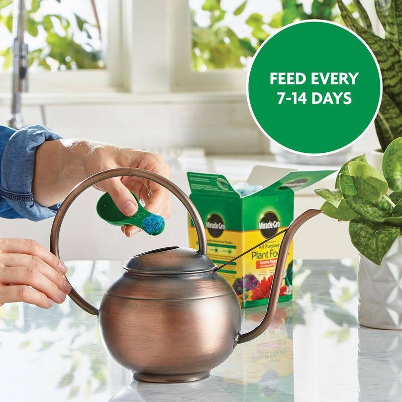 Moisture Control Potting Mix and Water Soluble All Purpose Plant Food