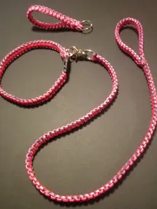 Matching Leash and collar Set