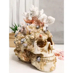 Marine Sea Explorer The Great Barrier Coral Reef Shells And Rocks Skull Figurine