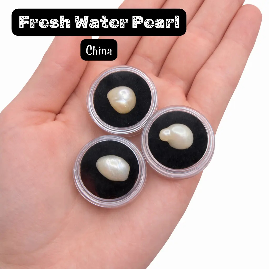 ONE Fresh Water Pearl - in case - Natural Pearl Specimen - Round Pearl