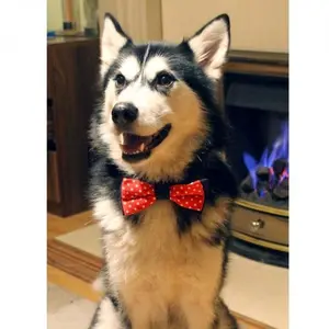 Reversible Pet Bow Tie