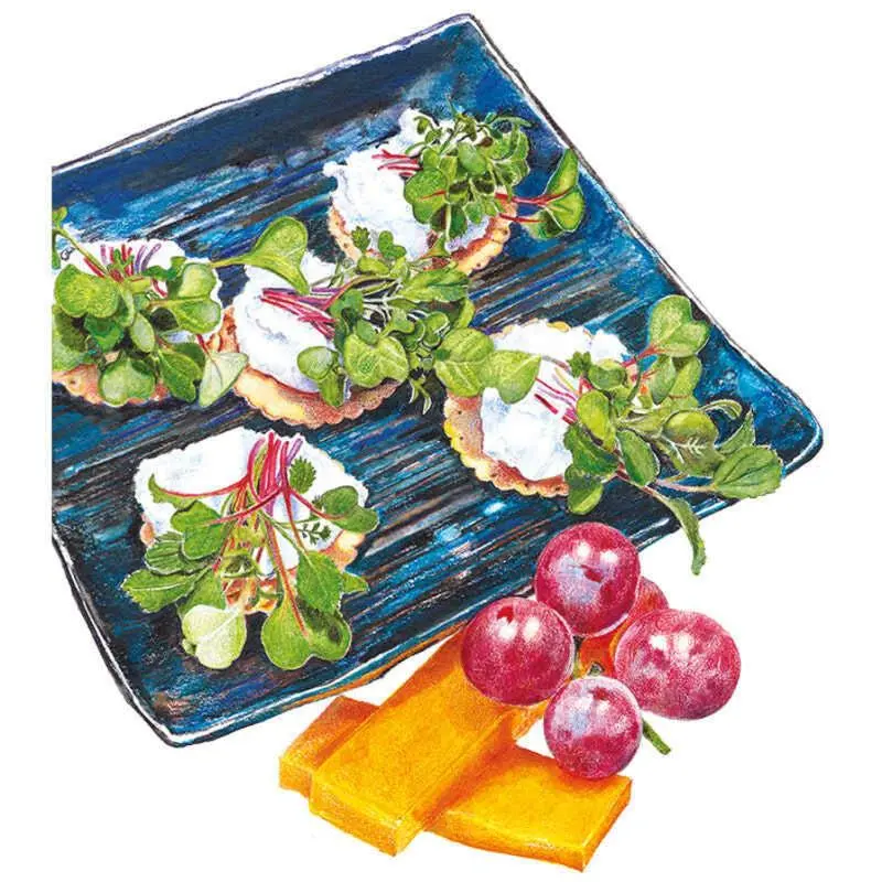 Jazzy Mix Microgreens Seeds Jazzy Mix Microgreens Seeds